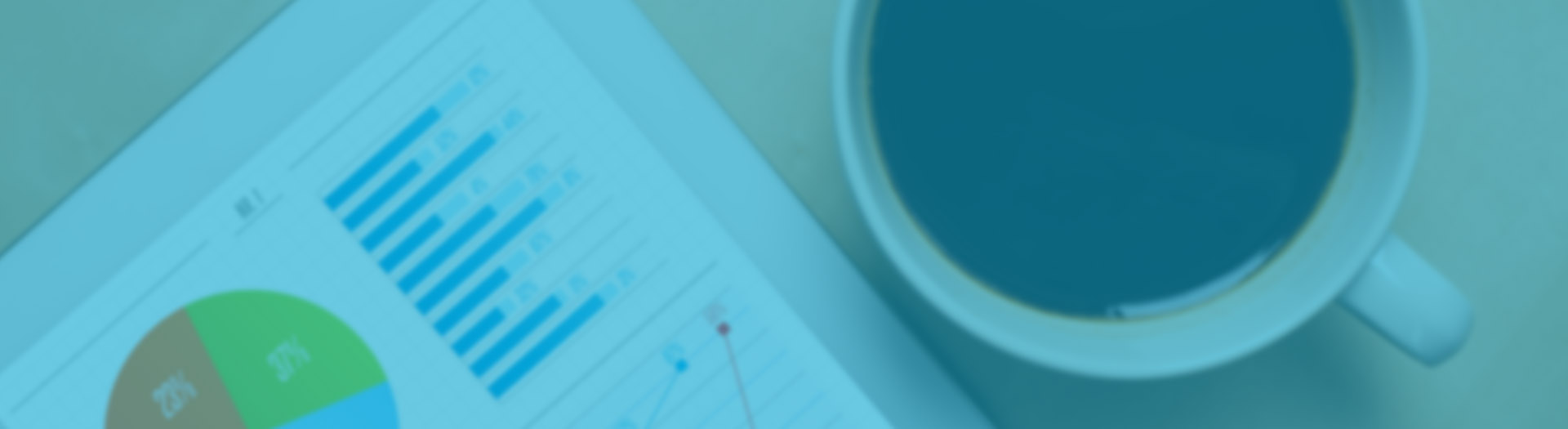 SEO Specialist, SEO Services Company India