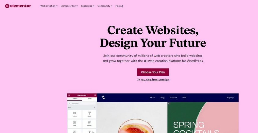 Elementor Page Builder